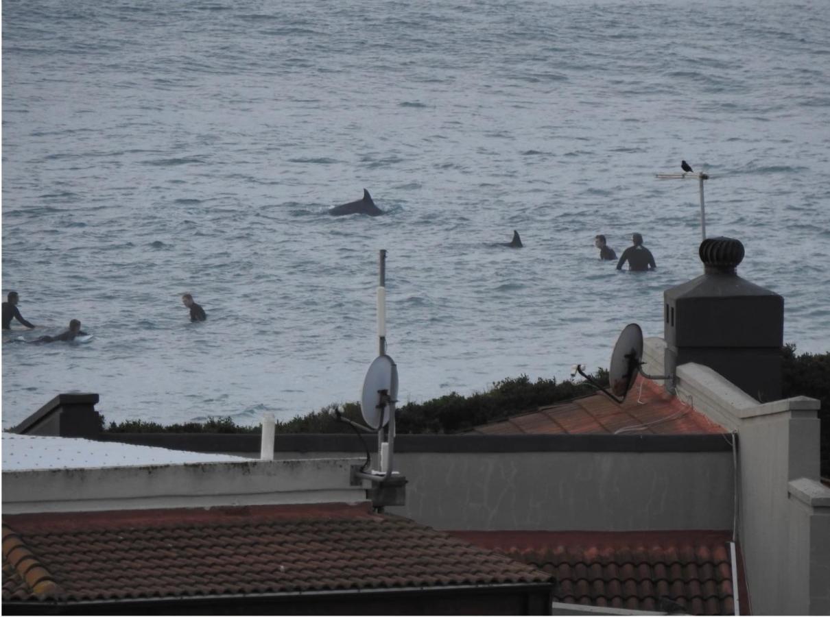 Surfstar At Mimosa Jeffreys Bay Apartment Екстериор снимка